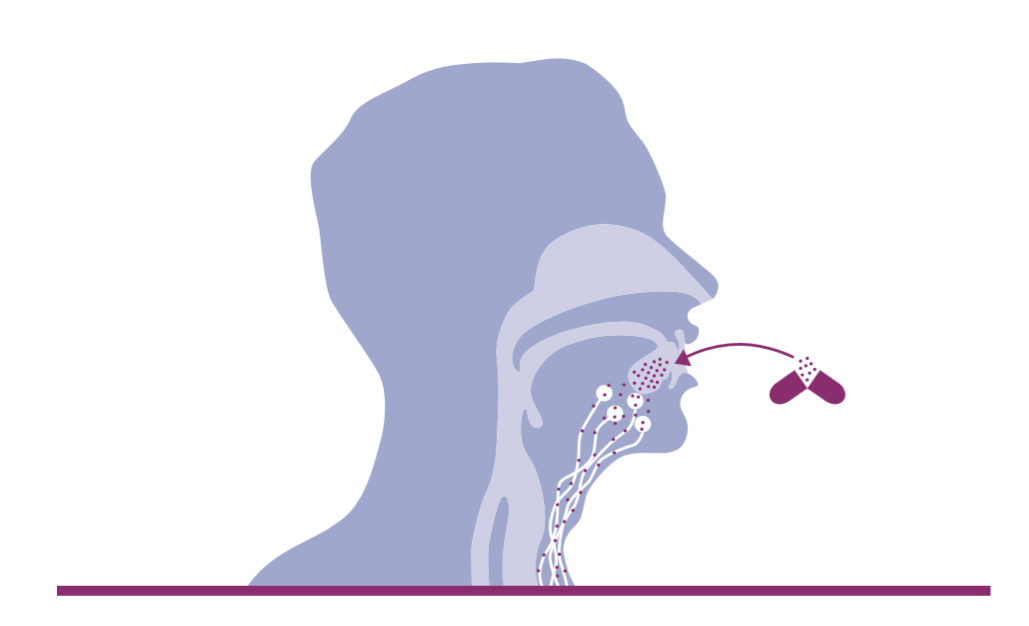 Mikroimmuntherapie Funktionsweise und Nebenwirkungen