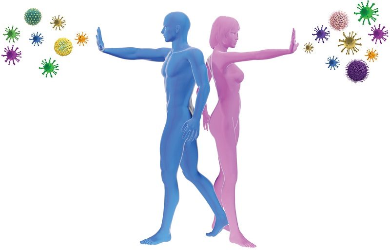 Wie funktioniert das Immunsystem