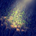 Mikrobiom Darm Mikroimmuntherapie