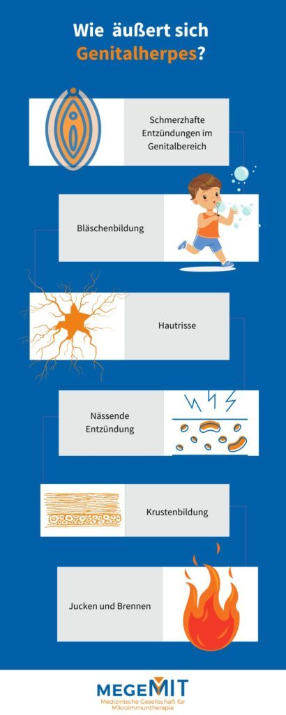Genitalperhes Symptome