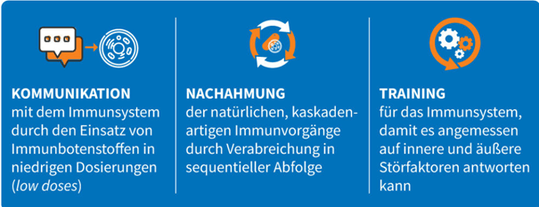 Ablauf Mikroimmuntherapie