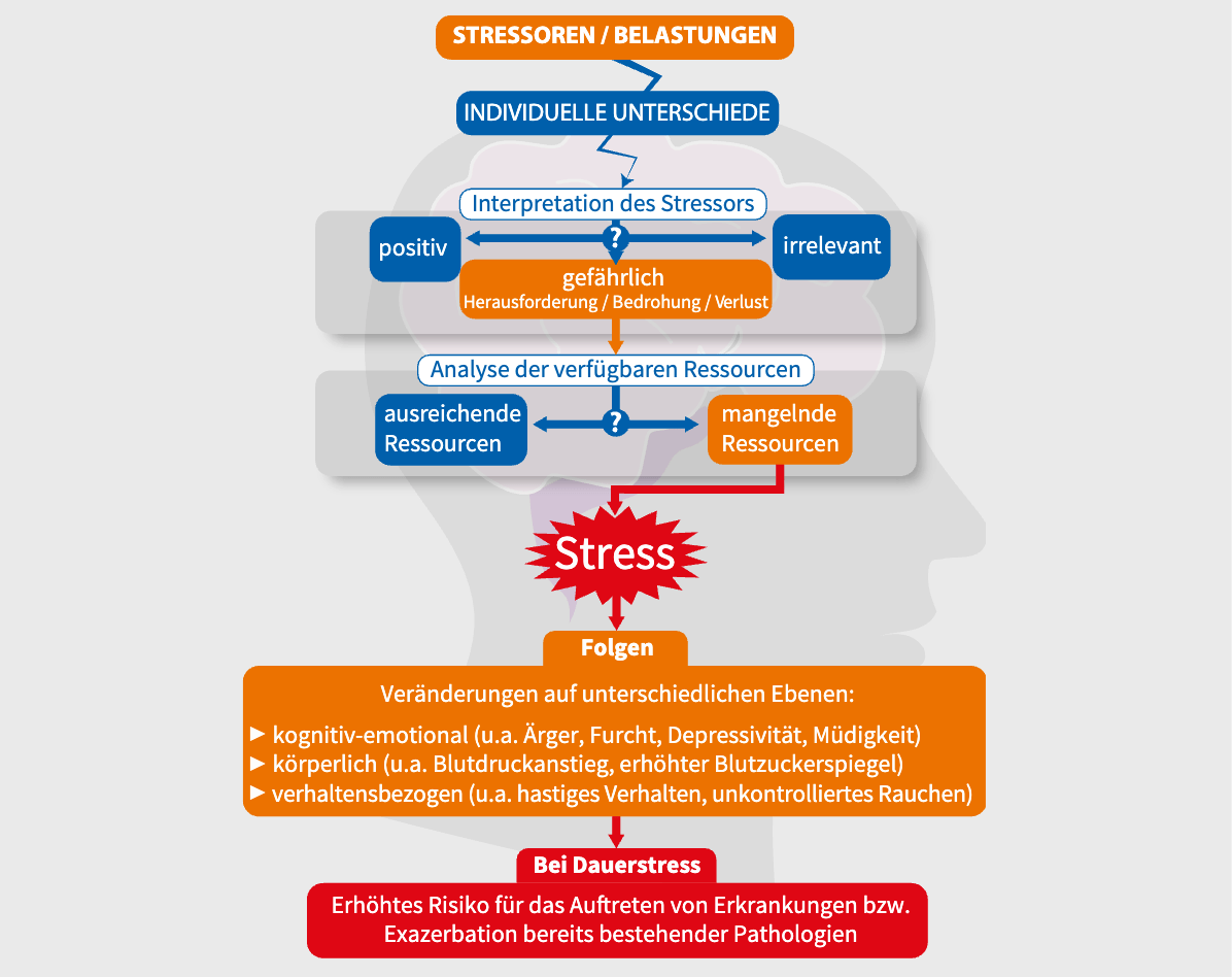 Positiver und negativer Stress sowie Dauerstress