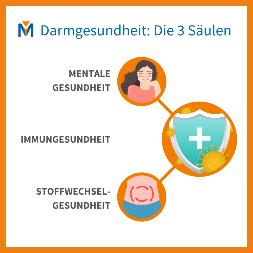 Darmgesundheit Mikroimmuntherapie