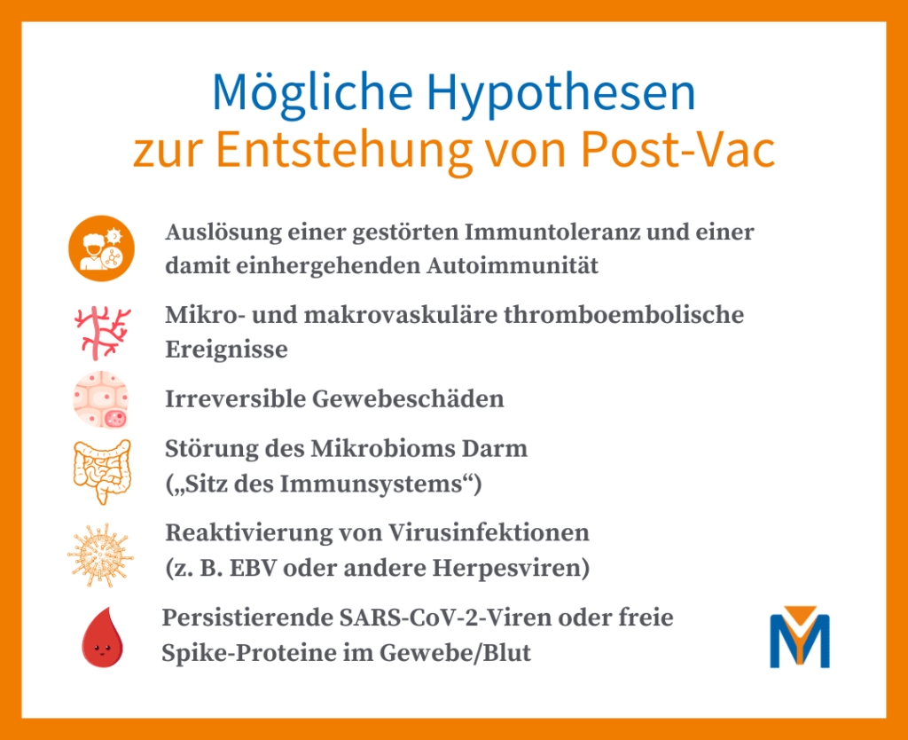 Hypothesen Post-Vac