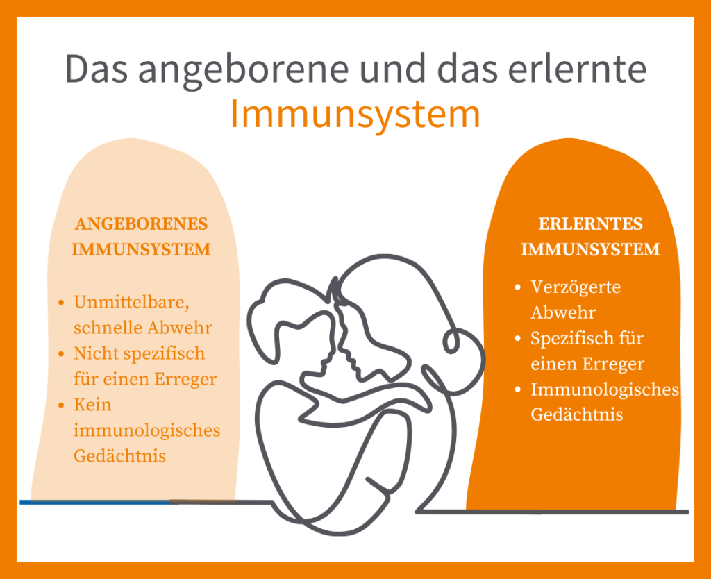 angeborenes und erlerntes Immunsystem